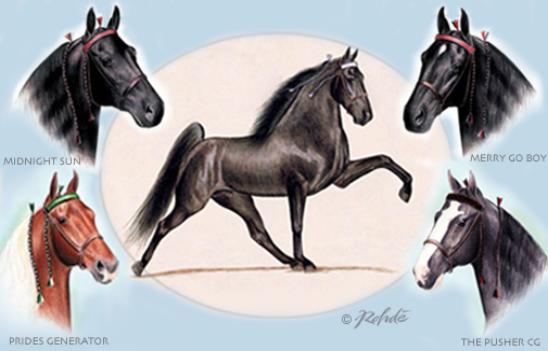 Tennessee Walking Horse Art by Rohde Fine Art